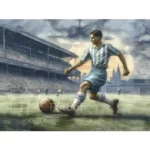 Cuadro futbolista albiceleste